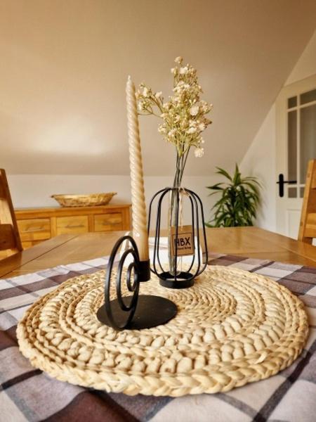 Apartment Naturgetreu Medebach