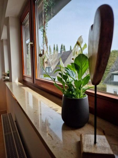 Apartment Naturgetreu Medebach